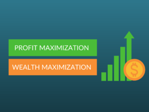 Profit Maximization vs Wealth Maximization
