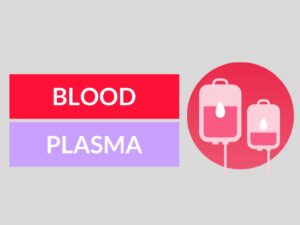 blood and plasma