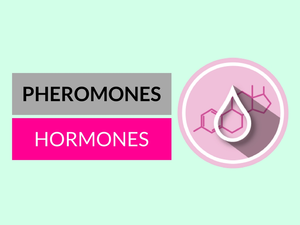 pheromones and hormones