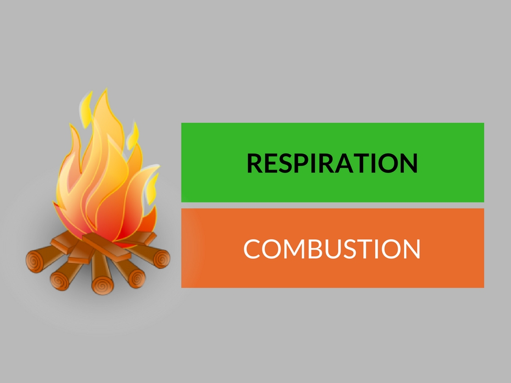 respiration and combustion]