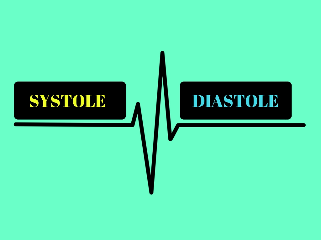 systole and diastole