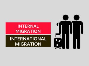internal and international migration