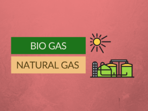 difference between natural gas and bio gas