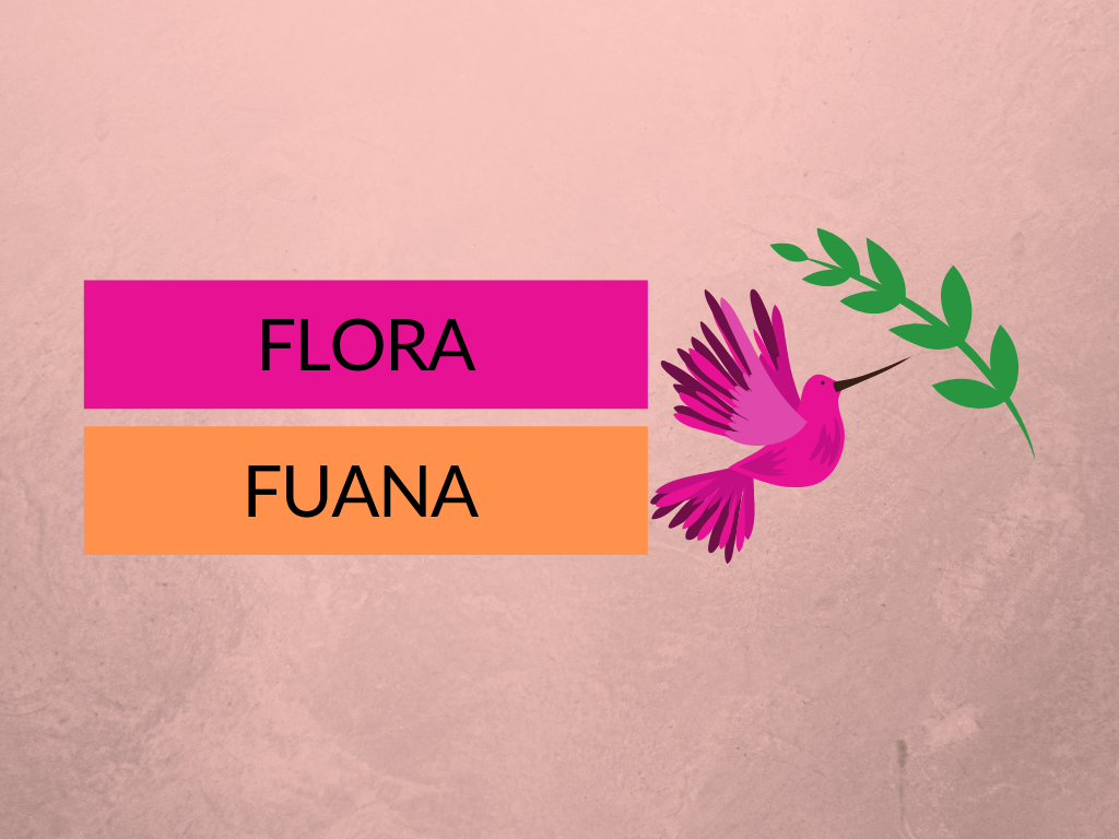 DIFFERENCE BETWEEN FLORA AND FAUNA