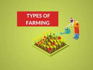DIFFERENT TYPES OF FARMING