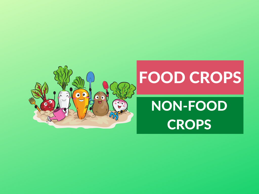 Difference between food crops and non-food crops