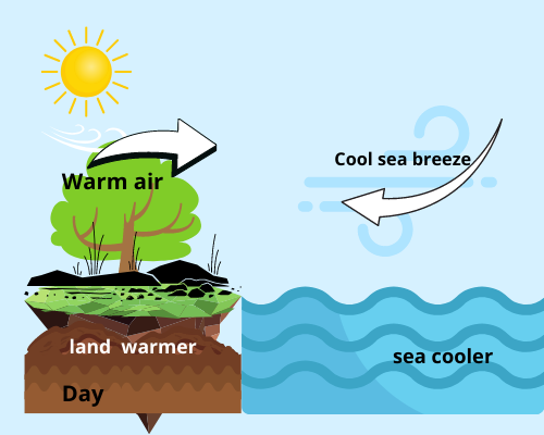 Difference Between Sea Breeze and Land Breeze
