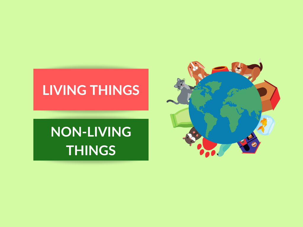 living things vs non-living things