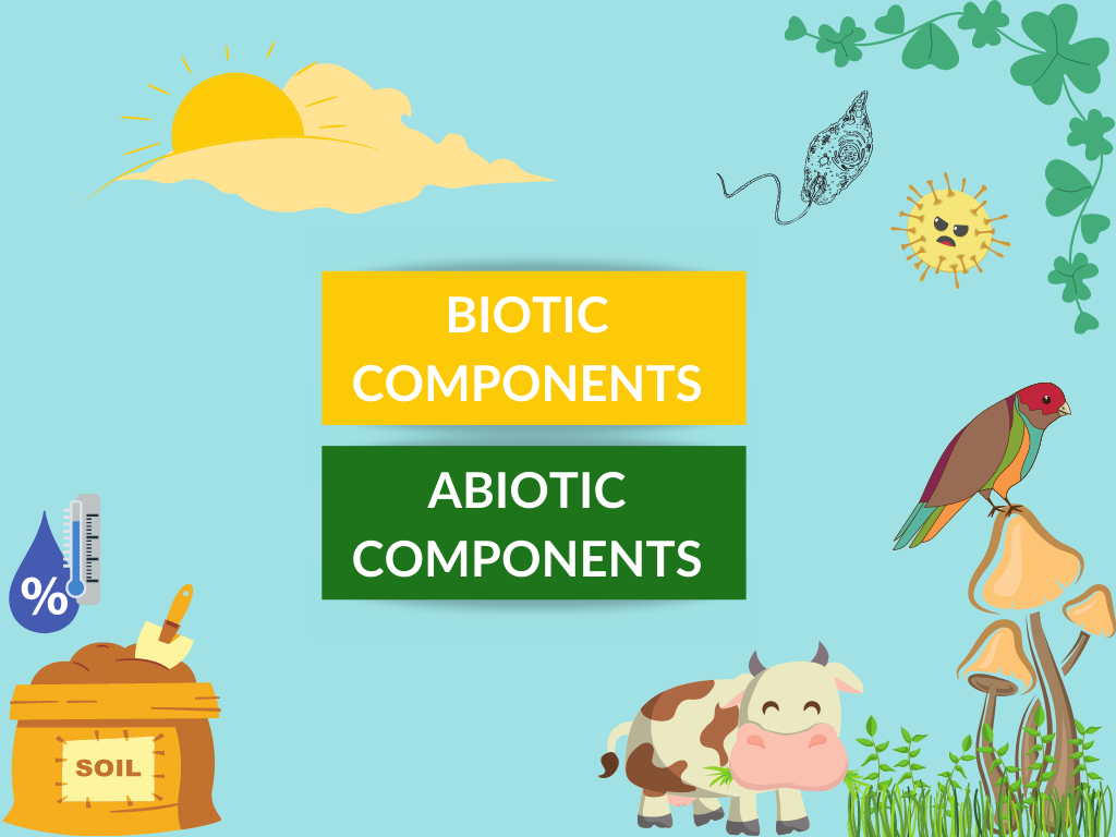 DIFFERENCES BETWEEN BIOTIC AND ABIOTIC COMPONENTS