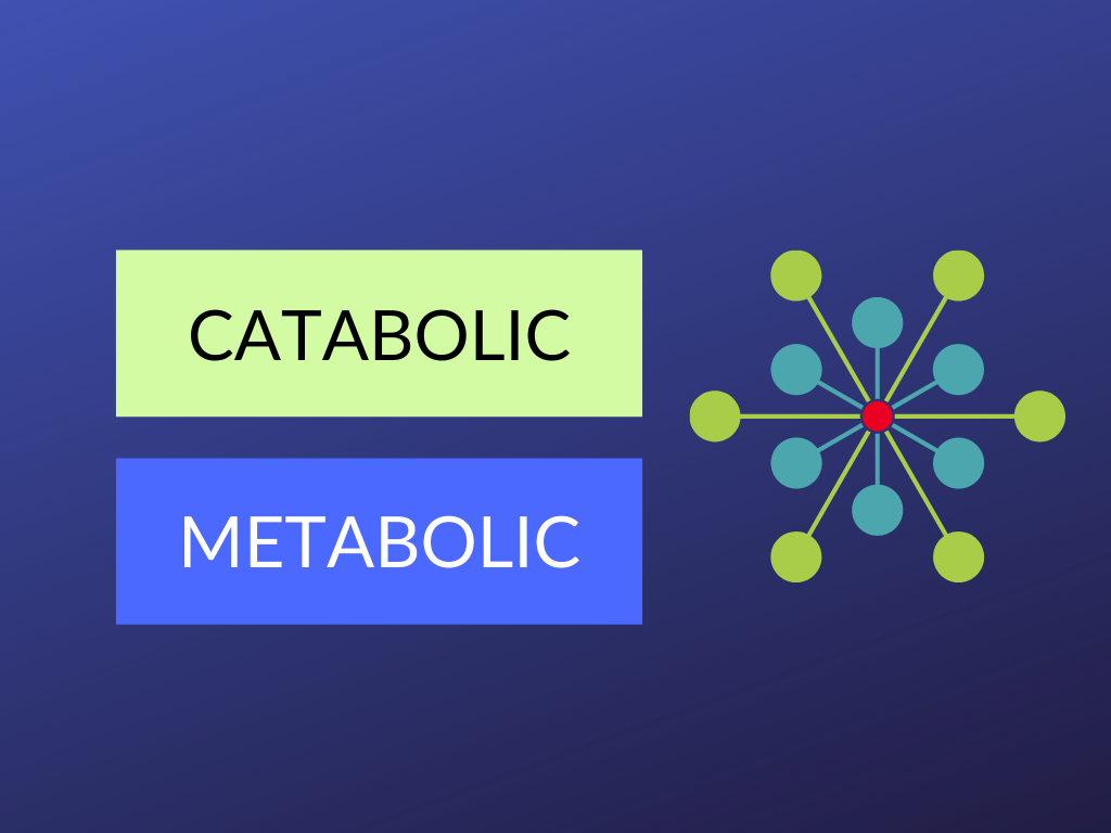Difference between Catabolic vs Metabolic