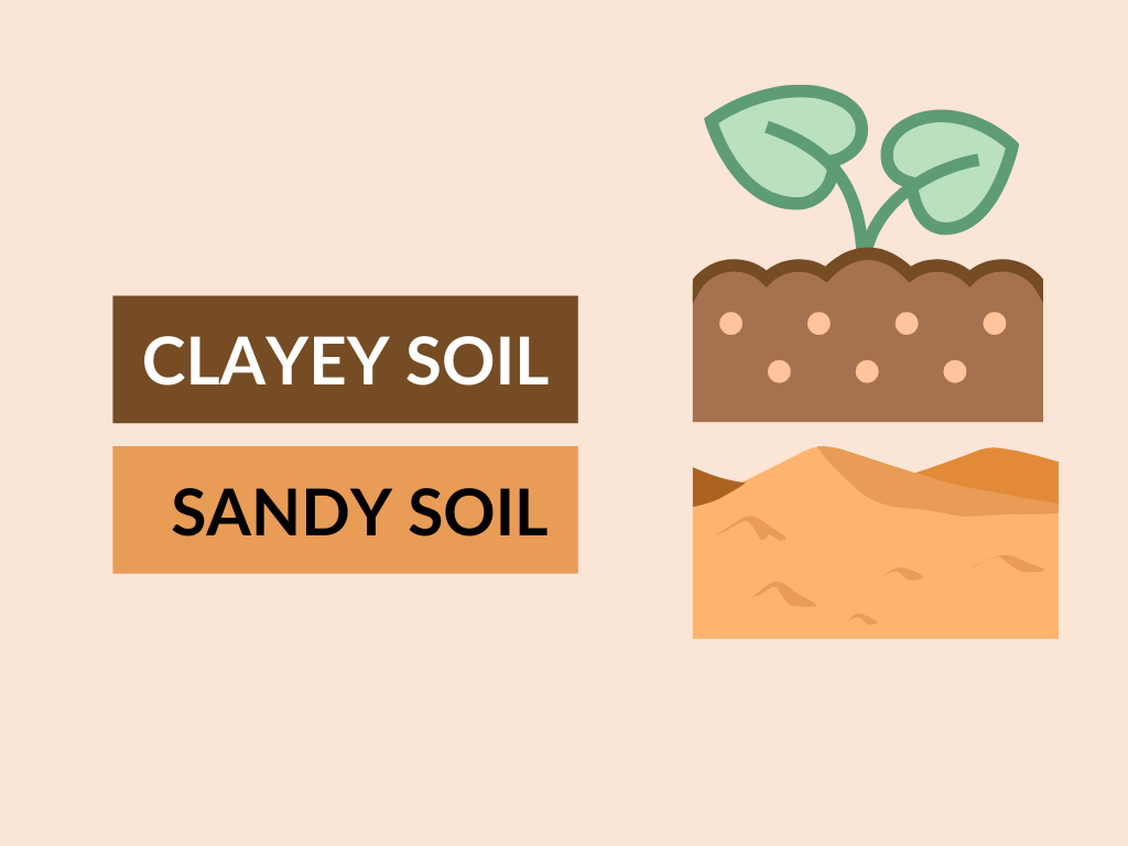 Difference between clayey soil and sandy soil