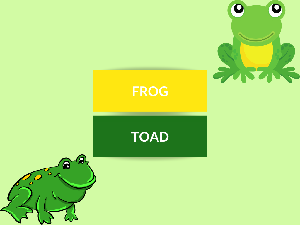 DIFFERENCES BETWEEN FROG AND TOAD
