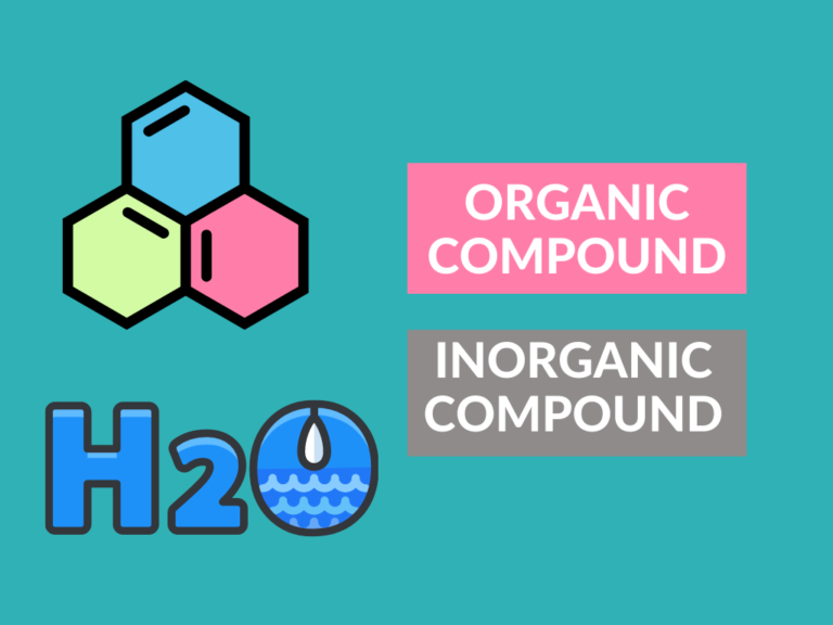 Difference Between Organic and Inorganic Compound - Diferr