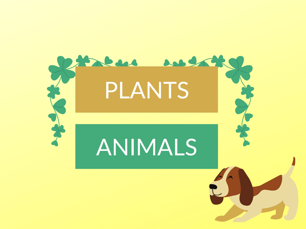 Difference Between Plants and Animals - Diferr