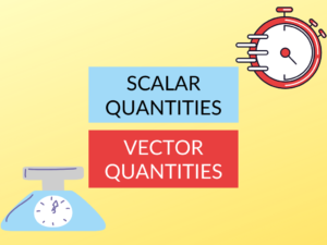 Scalar vs Vector