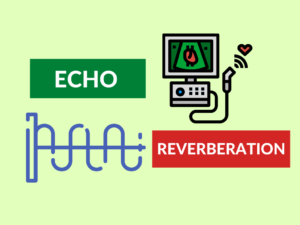 difference between echo and reverberation