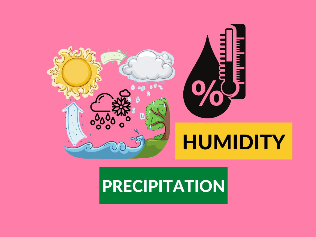 difference between humidity and precipitation