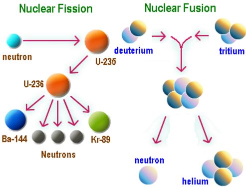distinguish between nuclear fission and nuclear fusion