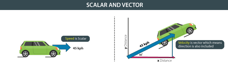Difference between Scalar and Vector