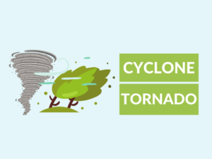 difference between cyclone and tornado